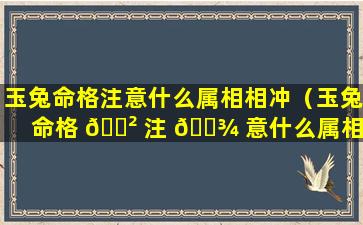 玉兔命格注意什么属相相冲（玉兔命格 🌲 注 🌾 意什么属相相冲相克）